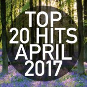 Top 20 Hits April 2017 (Instrumental)