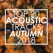Top 20 Acoustic Tracks Autumn 2018 (Instrumental)
