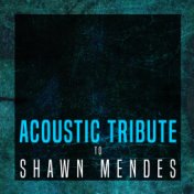 Acoustic Tribute to Shawn Mendes (Instrumental)