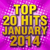 Top 20 Hits January 2014
