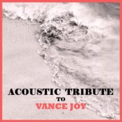 Acoustic Tribute to Vance Joy (Instrumental)
