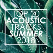 Top 20 Acoustic Tracks Summer 2018 (Instrumental)