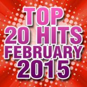 Top 20 Hits February 2015