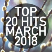 Top 20 Hits March 2018 (Instrumental)