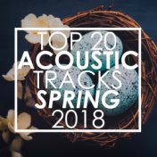 Top 20 Acoustic Tracks Spring 2018 (Instrumental)