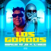 Los Gordos (feat.  DJ Khaled)