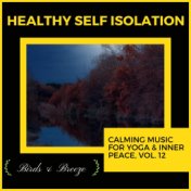 Healthy Self Isolation - Calming Music For Yoga & Inner Peace, Vol. 12
