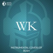 Instrumental Covers of Bush