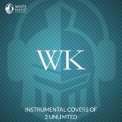 Instrumental Covers of 2 Unlimited