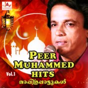 Peer Muhammed Hits, Vol. 1