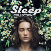 Sleep Collection – Sounds of Nature for Relaxation, Meditation, Calm Sleep, Spa, Zen Louge, Inner Harmony, Nature Music, Deeper ...