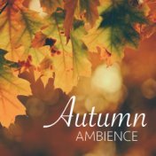 Autumn Ambience