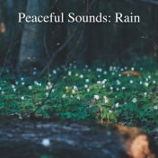 Peaceful Sounds: Rain