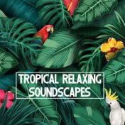 Tropical Relaxing Soundscapes - Ultimate Nature Sounds Straight from Rainforest, Feel Like in a Jungle Paradise, Birds and Water...