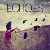 Echoes of Happy Birds - New Age Nature Sounds 2020 for Deepest Rest, Stress Relief, Calm Down