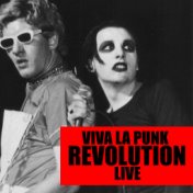 Viva La Punk Revolution Live