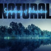 Natural Symphony of Relaxation – Ambient Nature Sounds of New Age Music, Spring Awakening, Silent Mind, Sense of Calm, Feel Bett...