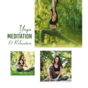 Yoga, Meditation & Relaxation: Buddhist Music Compilation for Zen Practice, Chakra Meditation, Yogic Exercises, Relaxation, Rest...
