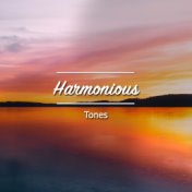 #17 Harmonious Tones for Asian Spa, Meditation & Yoga