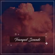 #13 Tranquil Sounds for Enlightenment