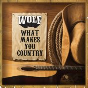 What Makes You Country (Wolf and Band Live)