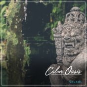 #19 Calm Oasis Sounds for Chakra Balancing