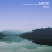 #19 Harmonic Sounds