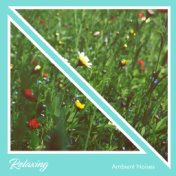 #16 Relaxing, Ambient Noises for Chakra Balancing