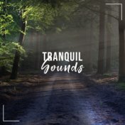 #18 Tranquil Sounds for Spirital Awakening