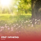 #15 Mind Enhancing Sounds