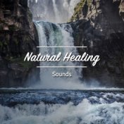 #18 Natural Healing Sounds to Provide Focus