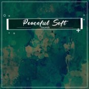 #1 Hour Peaceful Soft Sounds for Guided Meditation