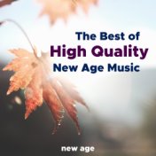 The Best of High Quality New Age Relaxing Music with Nature Sounds (Rain, Birds, Ocean Waves, Forest Sounds)