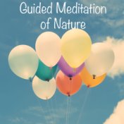 16 Guided Meditation Tunes of Nature