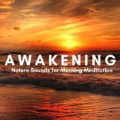 Awakening: Relaxation Music for Power Yoga & Pilates, Mindfulness Meditation with Nature Sounds for Morning Meditation