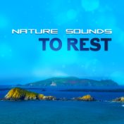 Nature Sounds to Rest – Calm Music, Healing Relaxation, Stress Relief, New Age Waves, Soothing Sounds