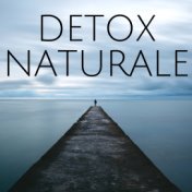 Detox Naturale - Pace e Benessere Interiore, Musica Giapponese New Age per Sottofondo Musicale