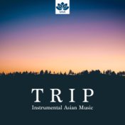 Trip: Instrumental Asian Music with Nature Sounds for Yoga & Meditation, New Balance in your Life