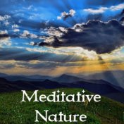 12 Meditative Nature Sounds
