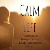 Calm Life - Therapeutic Nature Study Deep Relaxation Music for Wellness Treatment Smile Break Bio Energy with Soothing Meditativ...