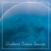 Ambient Nature Sounds – Soothing Waves, Calm Down & Rest, Relaxing Music to Mind Peace