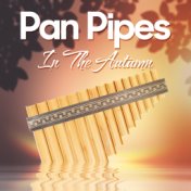 Pan Pipes in the Autumn