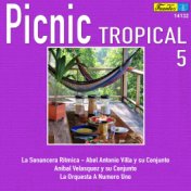Picnic Tropical 5