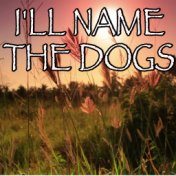 I'll Name The Dogs - Tribute to Blake Shelton