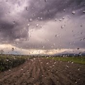 Rain Ambience: Natural Rain Music