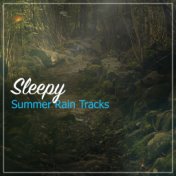 #10 Sleepy Summer Rain Tracks for Sleep and Relaxation