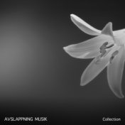 2018 Avslappning Musik Collection