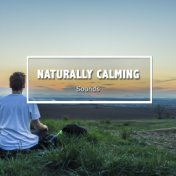 20 sons naturalmente relaxantes para relaxar