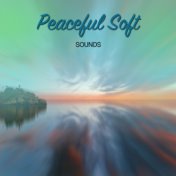 14 pacíficos sons suaves para aquietar a mente