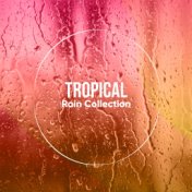 #15 Tropical Rain Collection for Sleep
